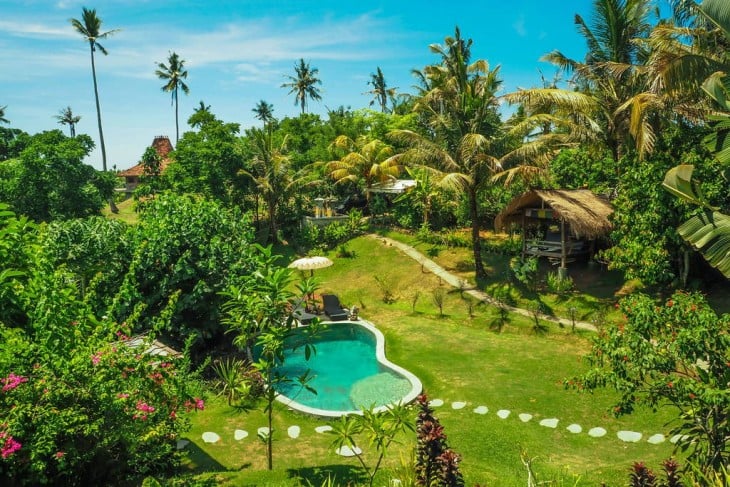 piscina y jardín tropical en la Casa del árbol con piscina en Bali
