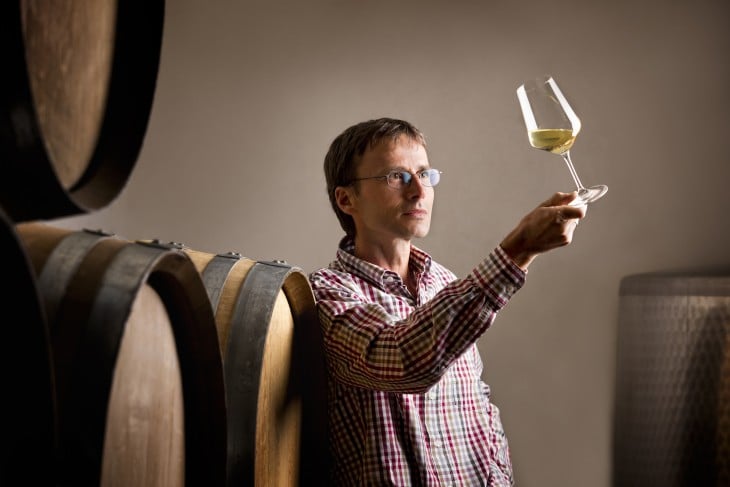 Catador de vino profesional observando un vino en un viñedo 