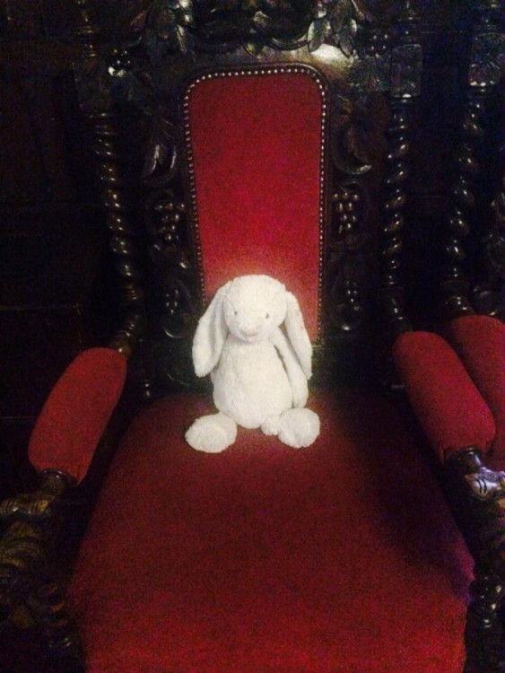 Conejo de felpa sentado en una silla elegante en color rojo 