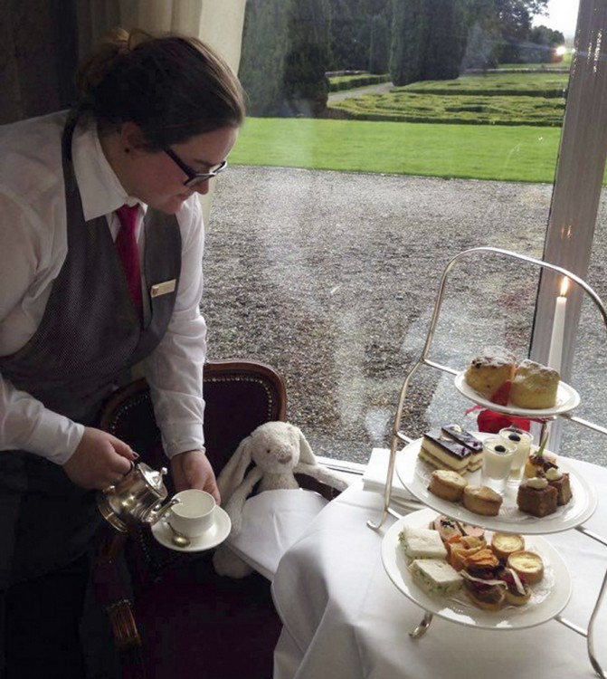 personal de un hotel en Irlanda atendiendo a un conejo de felpa 