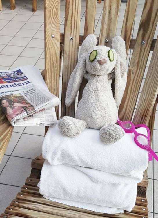 conejo de peluche sentado sobre unas toallas con dos pepinillos sobre los ojos 
