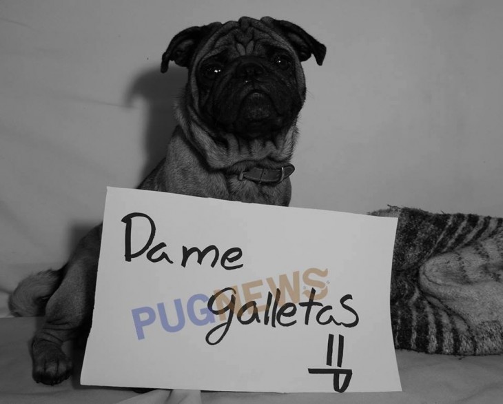 DAME GALLETAS