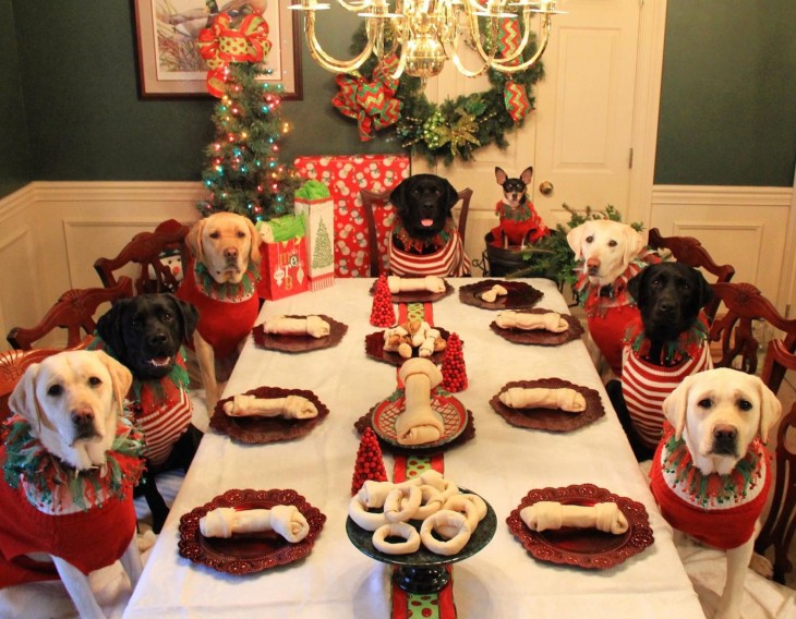 Fotografía de perros a la mesa en navidad con un hueso sobre un plato 