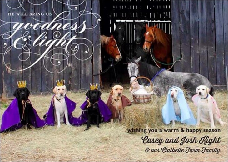 caballos y perros disfrazados representando el nacimiento de Jesús 