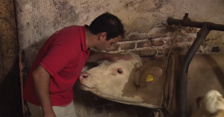 hombre acariciando la cabeza de Brandit un toro que es liberado 