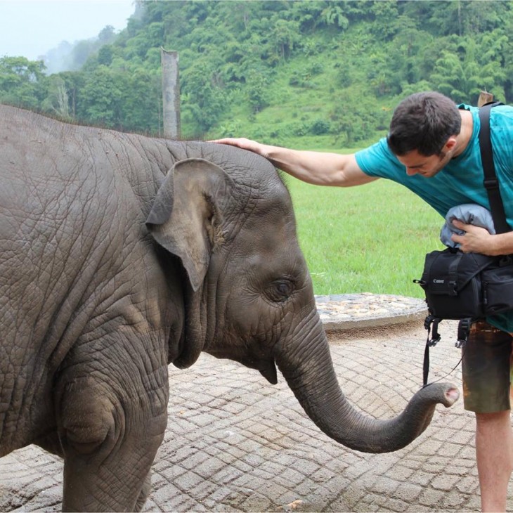 CON UN ELEFANTE