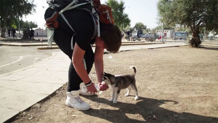 Chico Sirio de 17 años dando de tomar agua a su cachorrita husky 