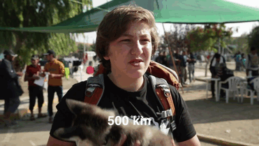 Gif de un chico sirio de 17 años con Rose su cachorrita husky en sus manos 