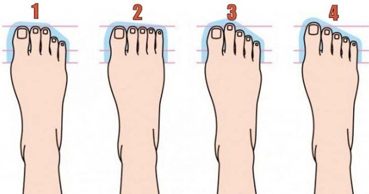 ilustración que enumera 4 diferentes tipos de pies 