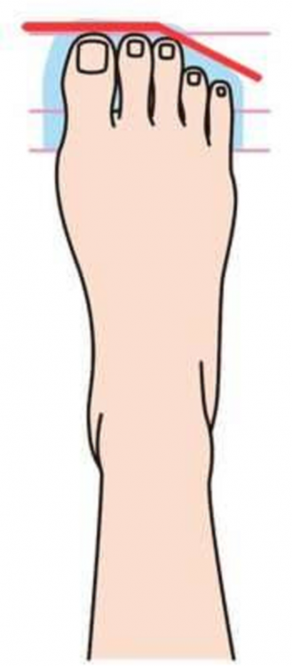 ilustración que muestra como es un pie romano 
