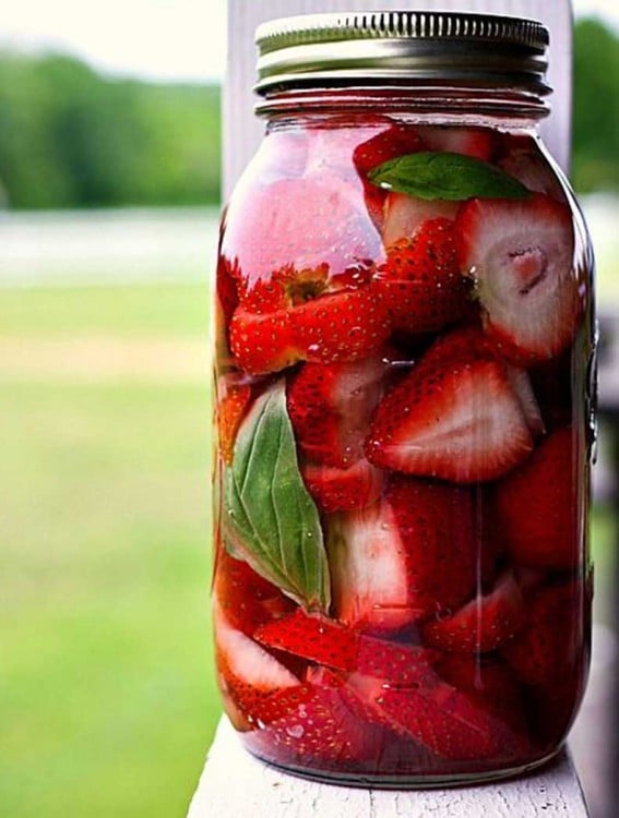vodka para hacer licores de frutas