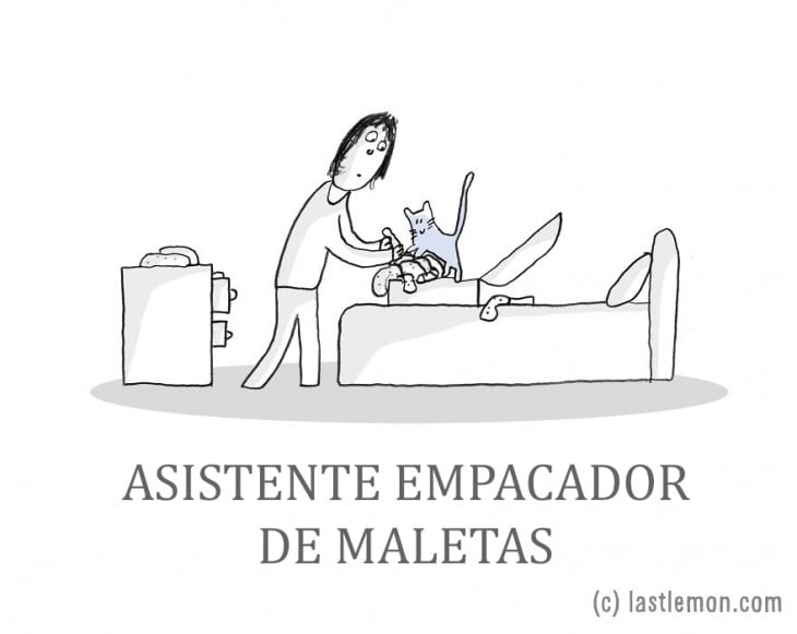 ilustración de una persona empacando una maleta con ayuda de su gato 