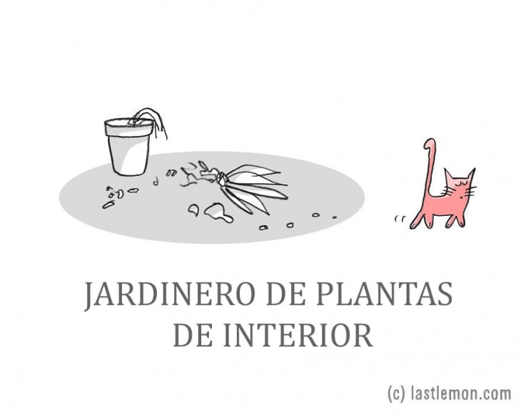 ilustración de un gato que tiro una planta 