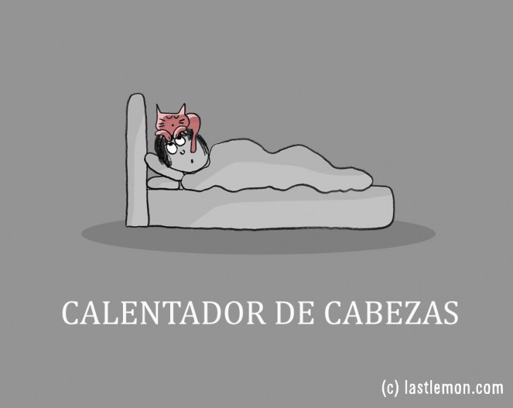 ilustración de una persona dormida con un gato sobre su cabeza 