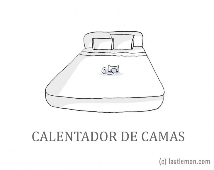 ilustración de un gato acostado sobre la cama de su dueño 