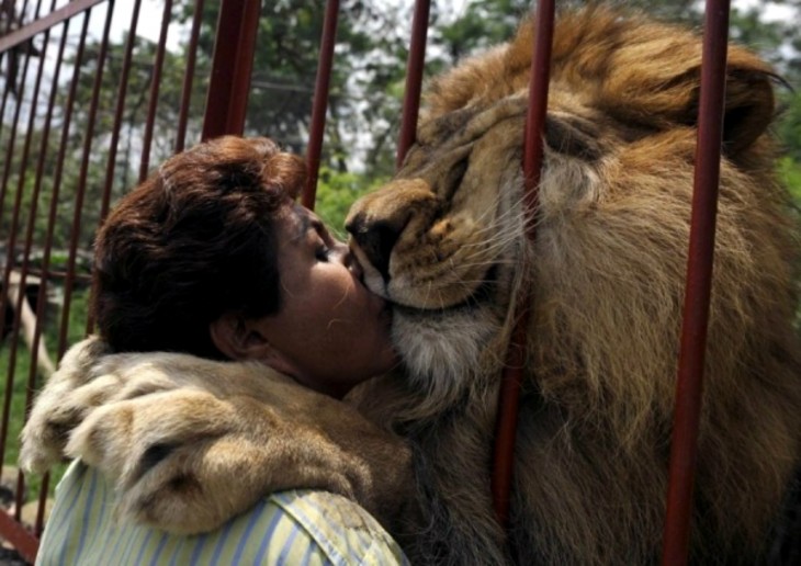 Lepon dando beso a visitante del zoologico