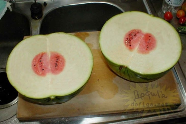 Sandia un poco deforme porque salio con el centro al revés