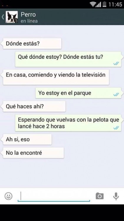 conversacion 1