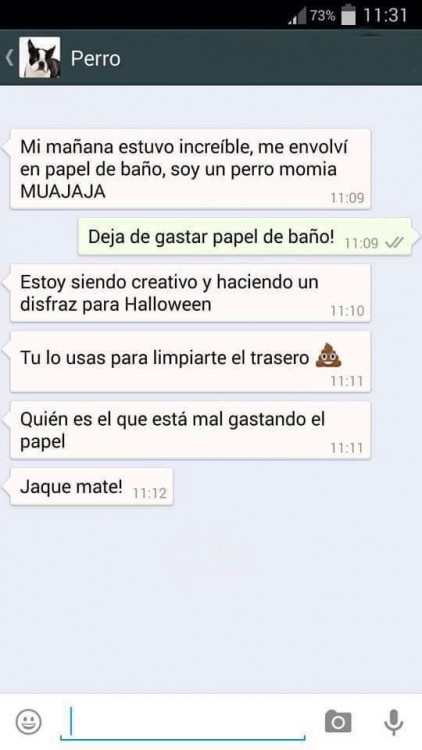 PERRO MOMIA HALLOWEEN