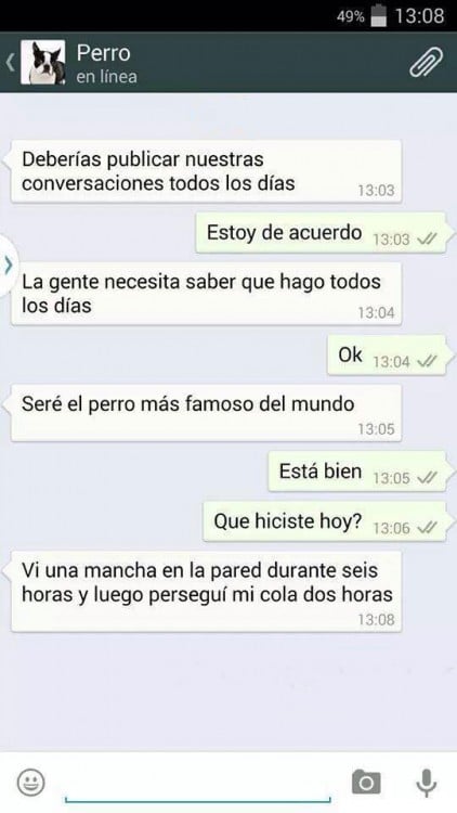 CONVERSACIONES PERRO FINAL