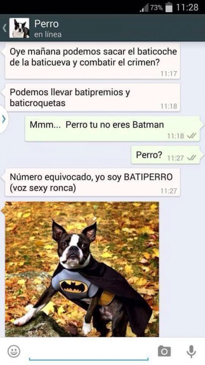 VERSIÓN BATMAN