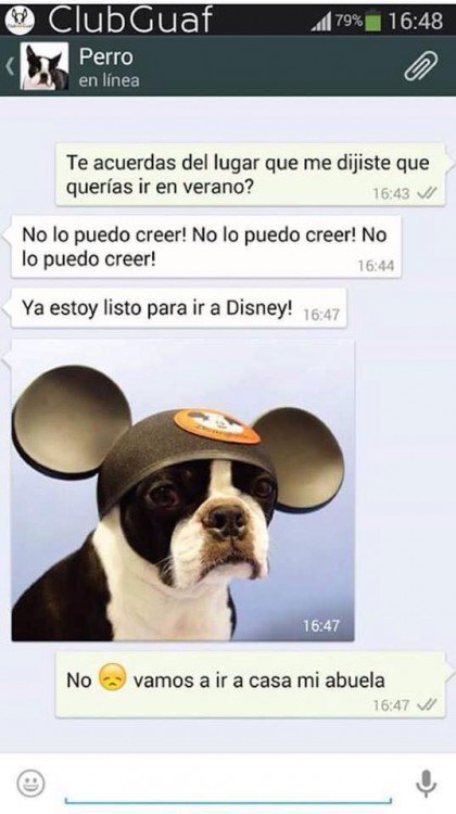 PERRO DISNEY