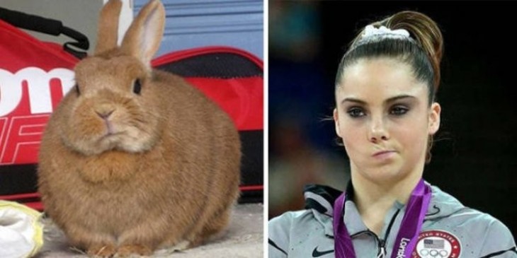 Conejo con la cara parecida a Mckayla Maroney 