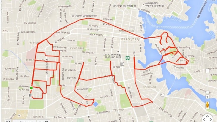 dibujo de mapache formado por el recorrido GPS de un ciclista canadiense 