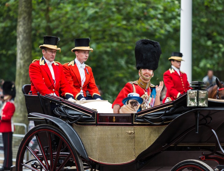 Batalla de photoshop a este hombre y su perro pug sobre un carruaje en Inglaterra saludando por las calles 