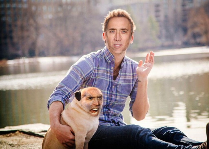 Batalla de photoshop a este hombre y su perro pug con cara de Nicolas Cage 