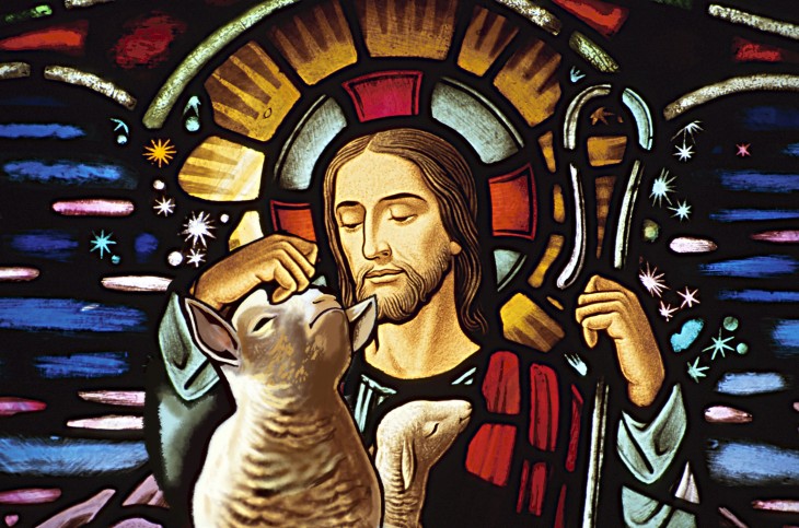 photoshop de la cabra presumida simulando que es tocada por una imagen de Jesucristo
