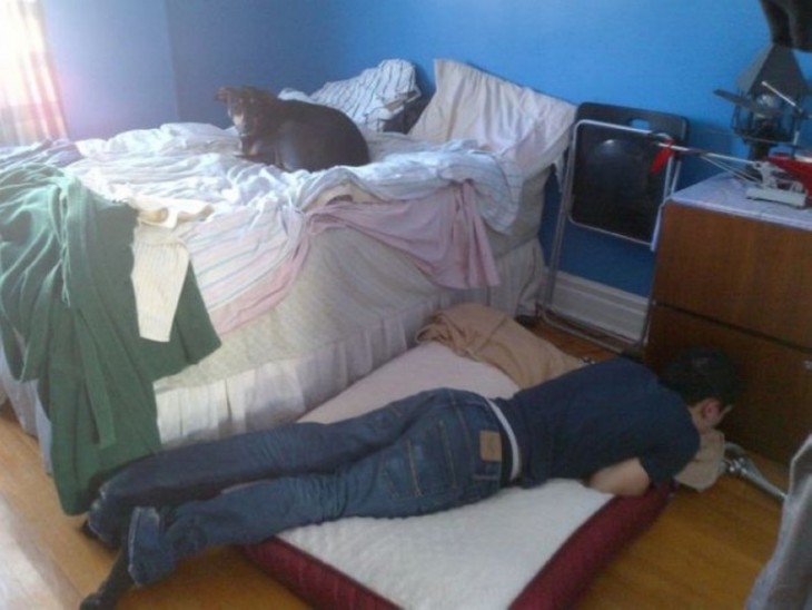 imagen de un perro acostado en la cama mientras un chico está acostado en el suelo 