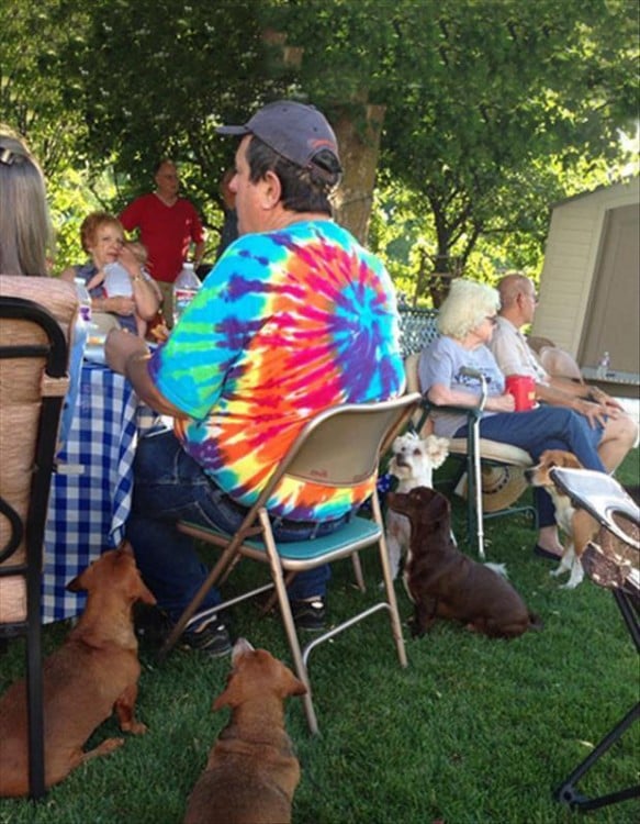 Personas comiendo al aire libre y un grupo de perros mirando la comida 