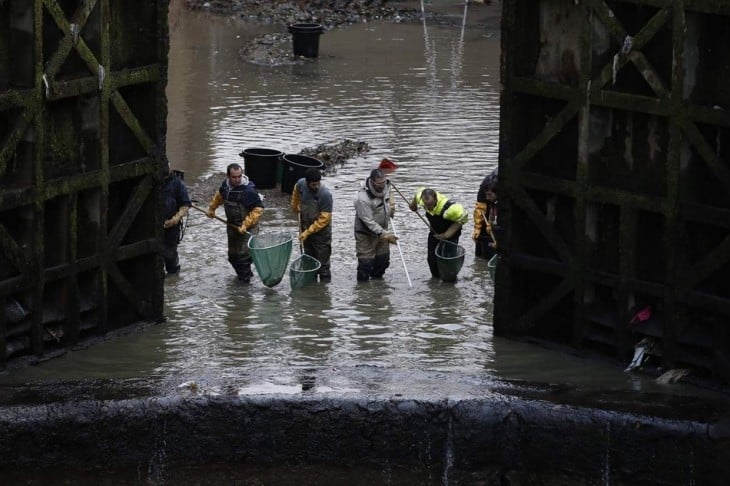 autoridades de París limpian el canal Saint-Martin