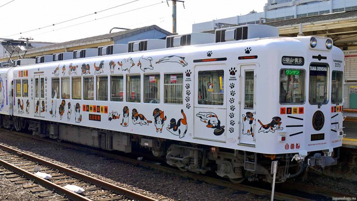 TREN TAMA EN HONOR A LA GATA QUE FUE ASCENDIDA A DIOSA EN JAPON