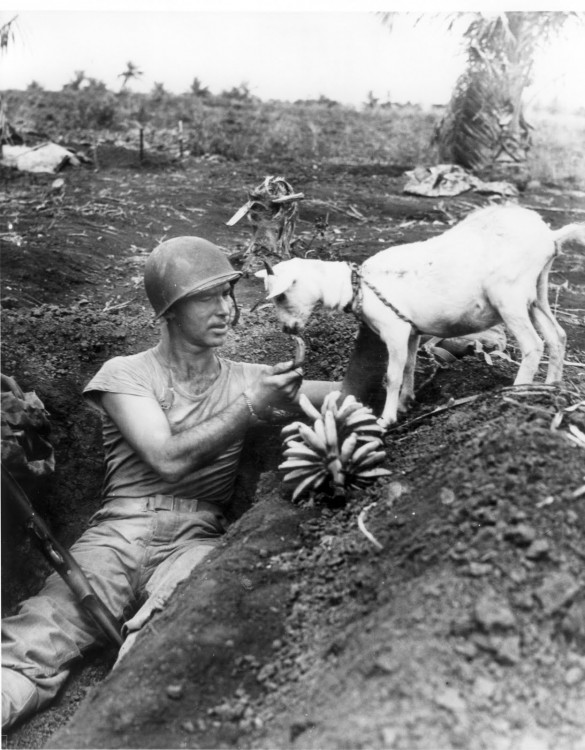 soldado regalando un poco de plátano a las cabras que quedaron entre el atroz desastre de las guerras