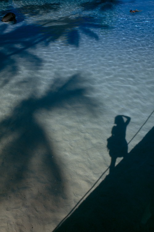 Palm trees and a photographer cast shadows on the ocean's surface near Tahiti Island