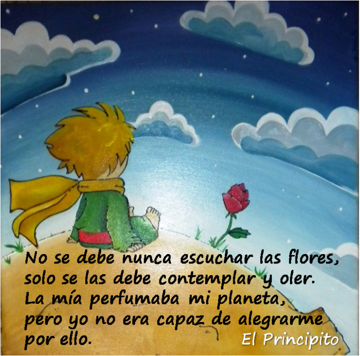 FRASES DEL PRINCIPITO