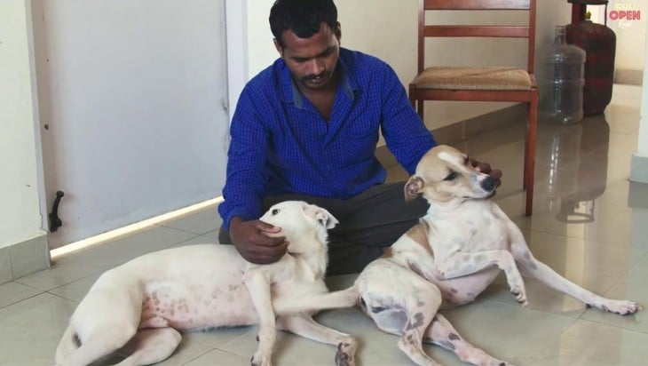 Balu hombre en India que ayuda a los perros callejeros 