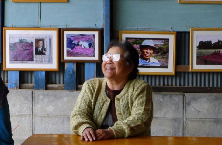 Sra. Kuroki, mujer que su esposo le plantó un jardín con más de 7,000 shibazakura rosas