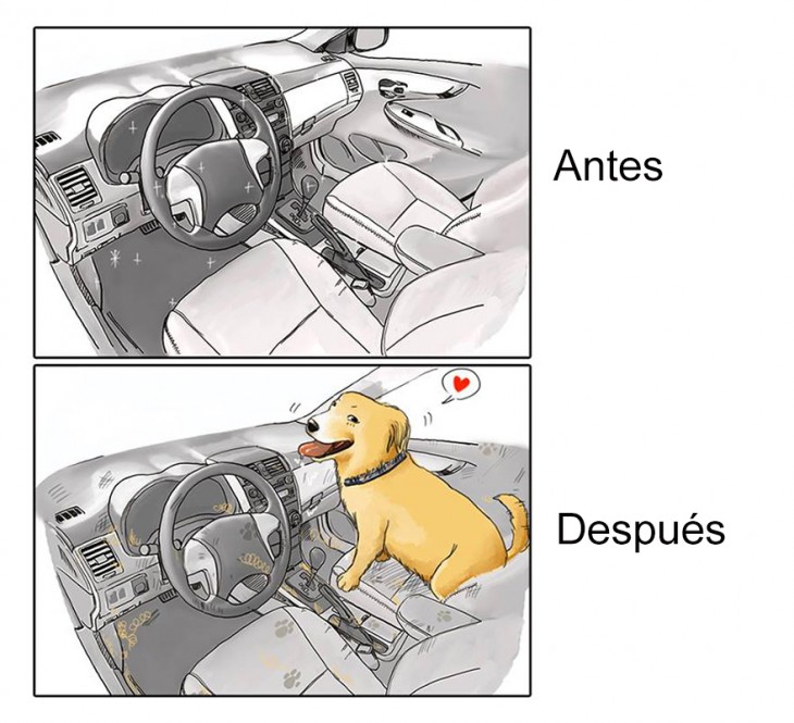 imagen que muestra el antes y después de tu carro cuando tienes una mascota 