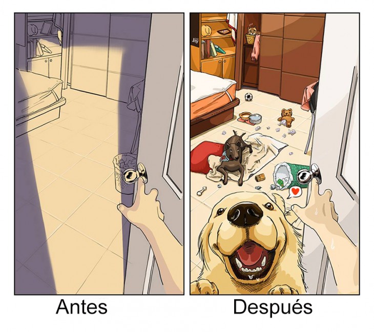 ilustración de como luce tu cuarto antes y después de tener mascotas 