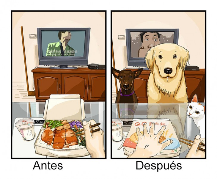 ilustración de como es comer antes y después de tener mascotas en casa 