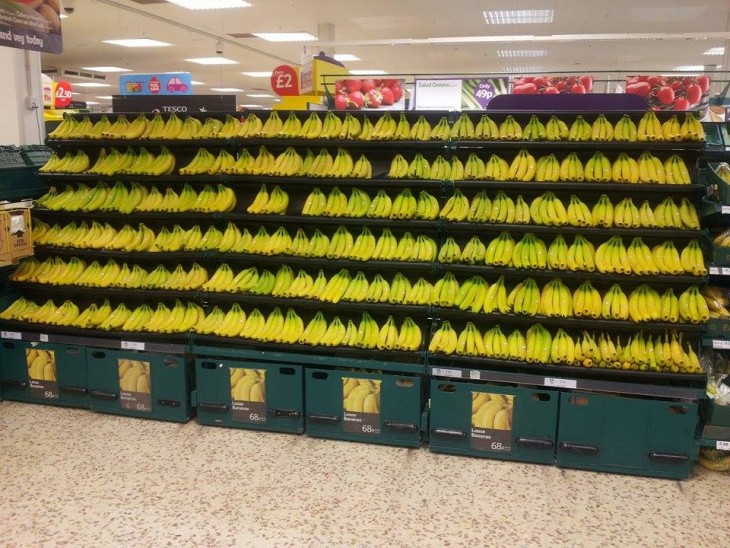 Estante de plátanos acomodados muy alineados 