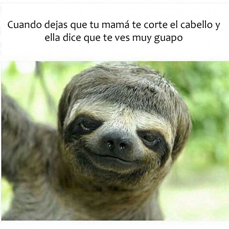 meme de cuando dejas que tu mamá te corte el cabello 