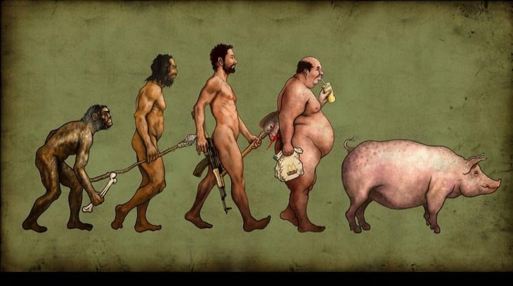 imagen muestra la evolución del ser humano hasta llegar a un cerdo 