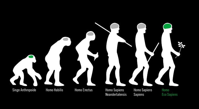 ilustración que muestra la evolución del ser humano dejando al final al homo eco sapiens 