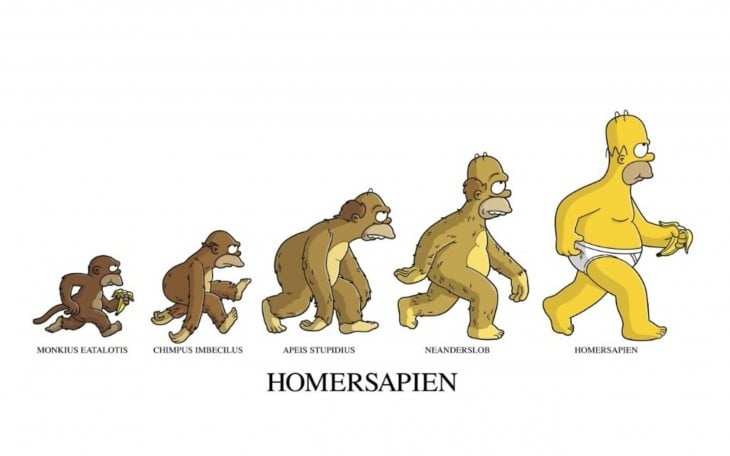 ilustración que muestra la evolución de Homero Simpson