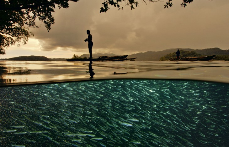 Fotografía de un pescador sobre una lancha donde se pueden ver muchos peces en la superficie 