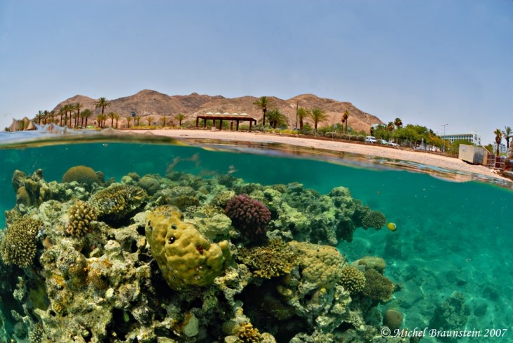 Shore de Eilat 